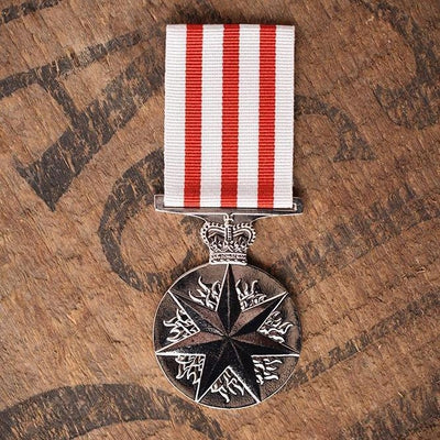 Distinguished Service Medal 1991 (DSM) - Foxhole Medals