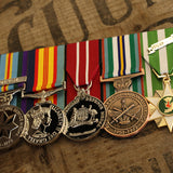 Vietnam National Service Set - Foxhole Medals