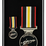 PRE-ORDER | TLSM SET | Timor Leste Solidarity Medal Presentation Set - Original Quality - Foxhole Medals