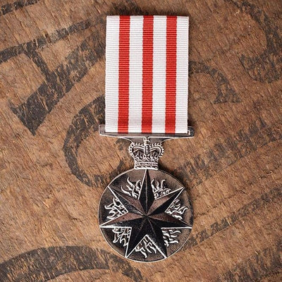 Distinguished Service Medal 1991 (DSM)-Medal Range-Foxhole Medals