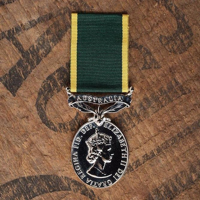 Efficiency Medal-Replica Medal-Foxhole Medals