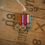 WW2 Defence Trio - Foxhole Medals